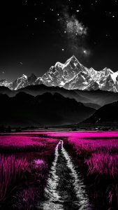 #paisaje #negro #Black #violeta #morado #violet #estrella