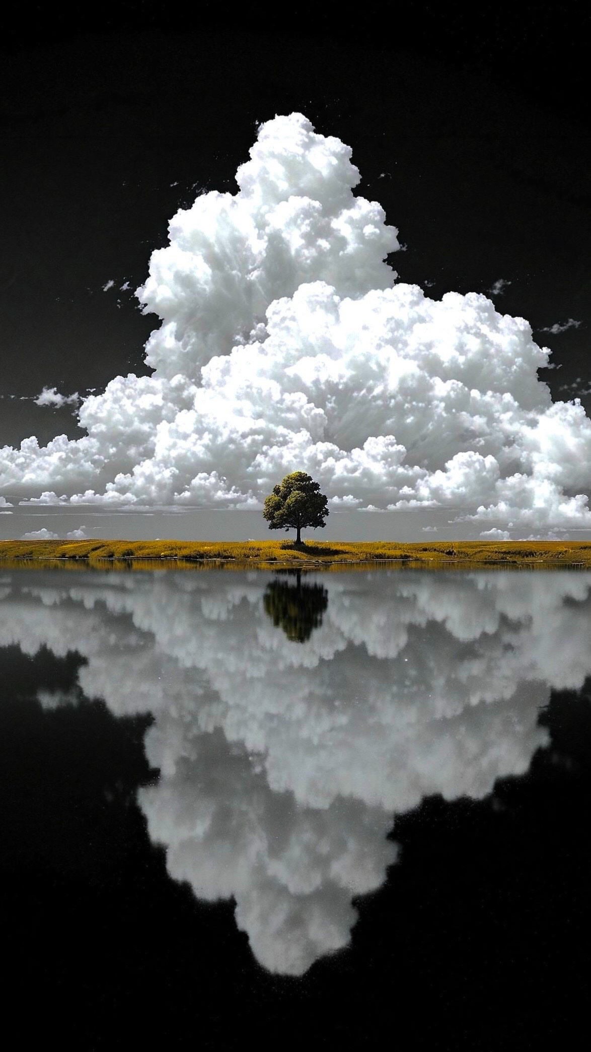 #árbol #tree #reflejo #reflection #nubes #clouds #agua #water #paisaje #landscape #cielo #sky #simetría #symmetry