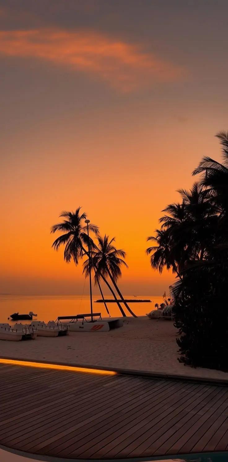 #atardecer #sunset #playa #beach #palmeras #palmtree #mar #sea #paraiso #paradise #naranja #orange
