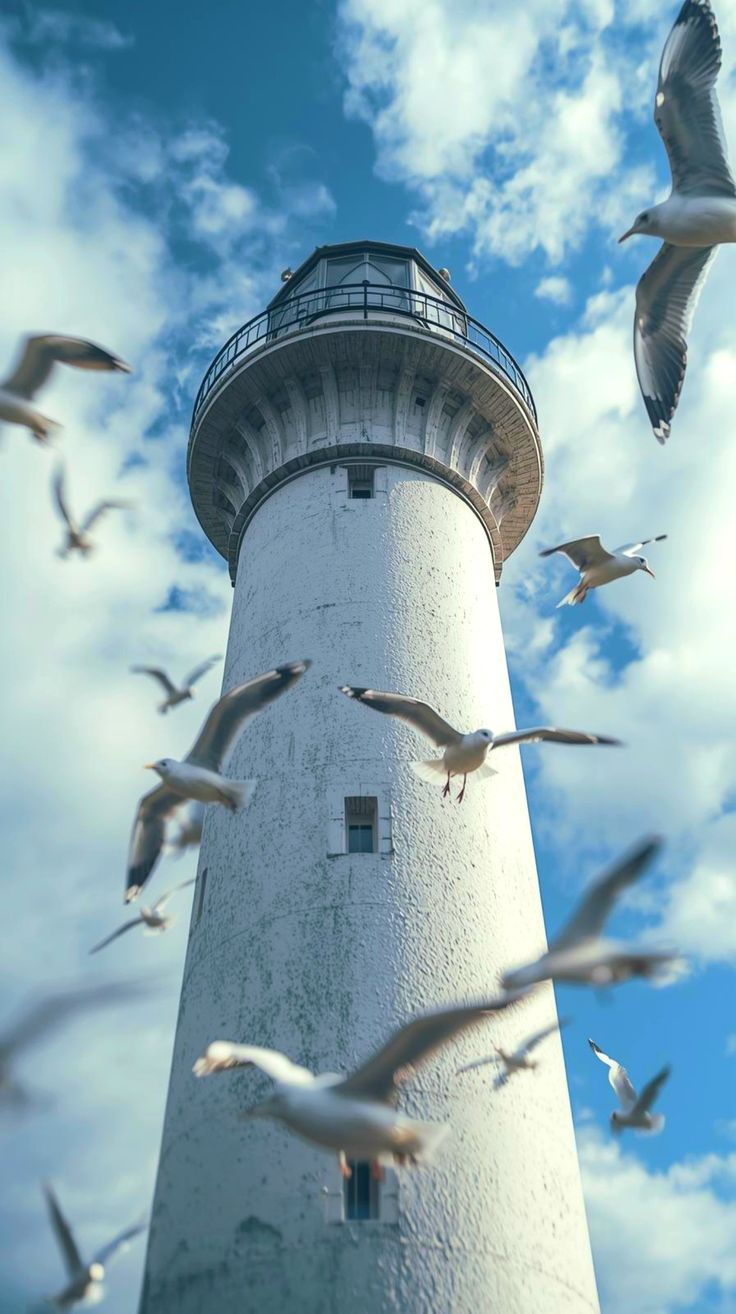 #faro #gaviota #torre #lighthouse #tower #seagull