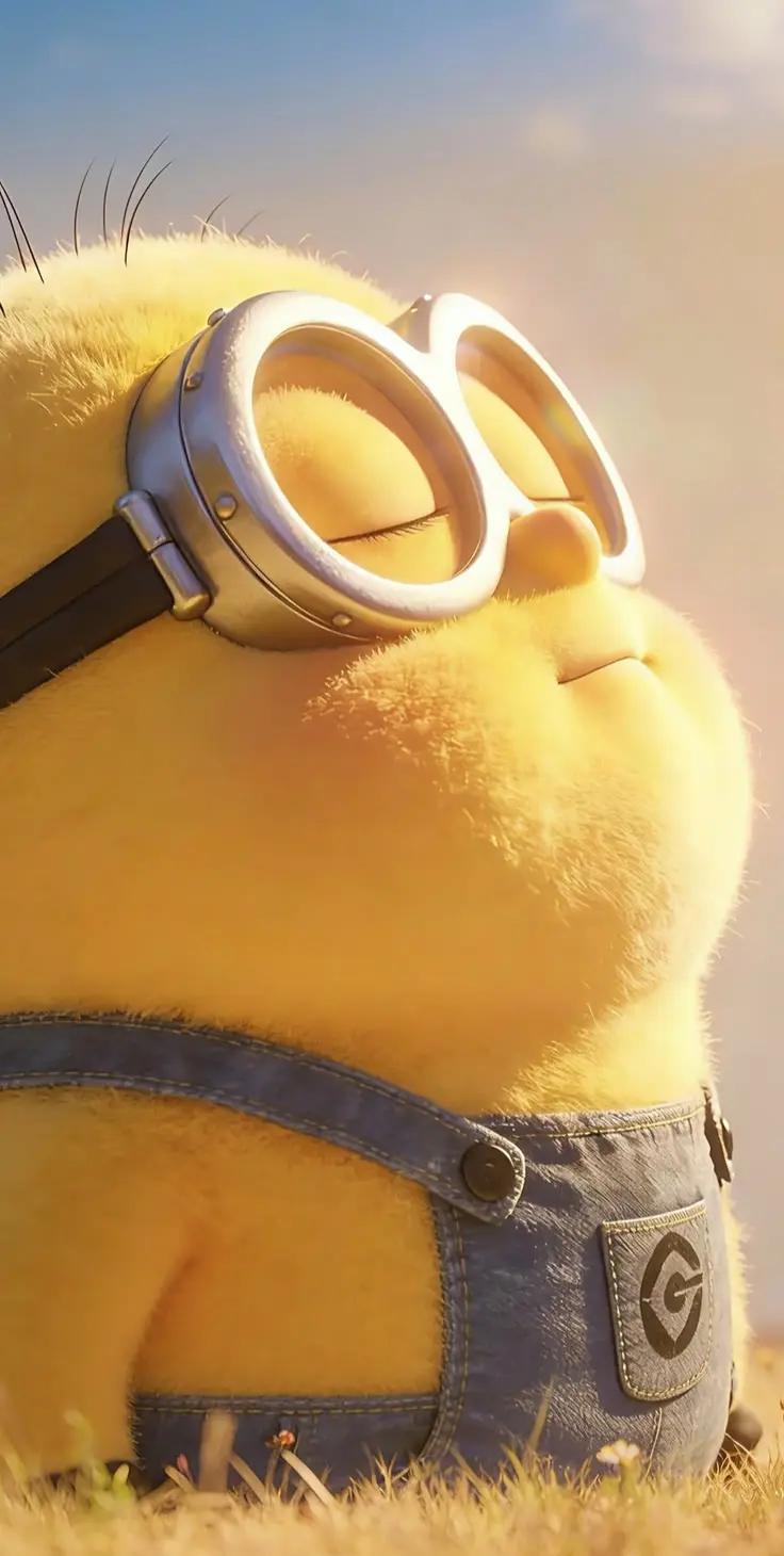 #minion #pelicula #movie #amarillo #yellow #sol #sun #relajado #chill #lindo #cute #pasto
